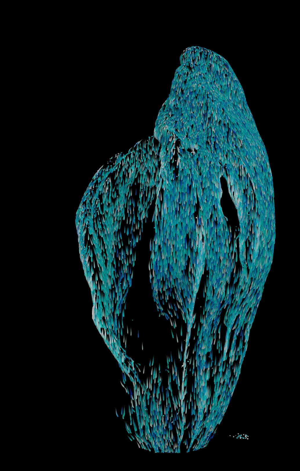 Digital Double 1